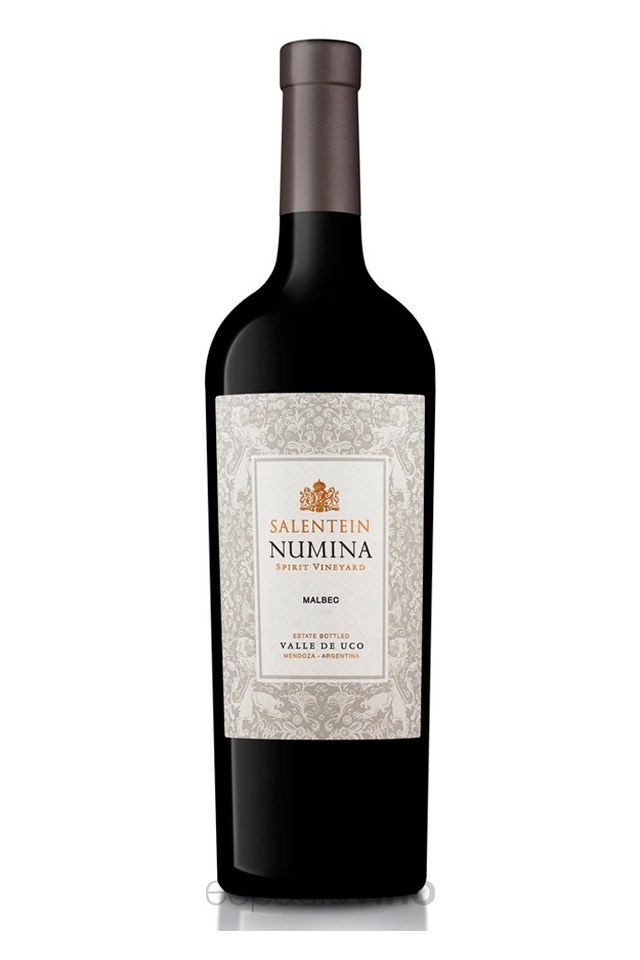 Botella de Salentein Numina Malbec — Salentein