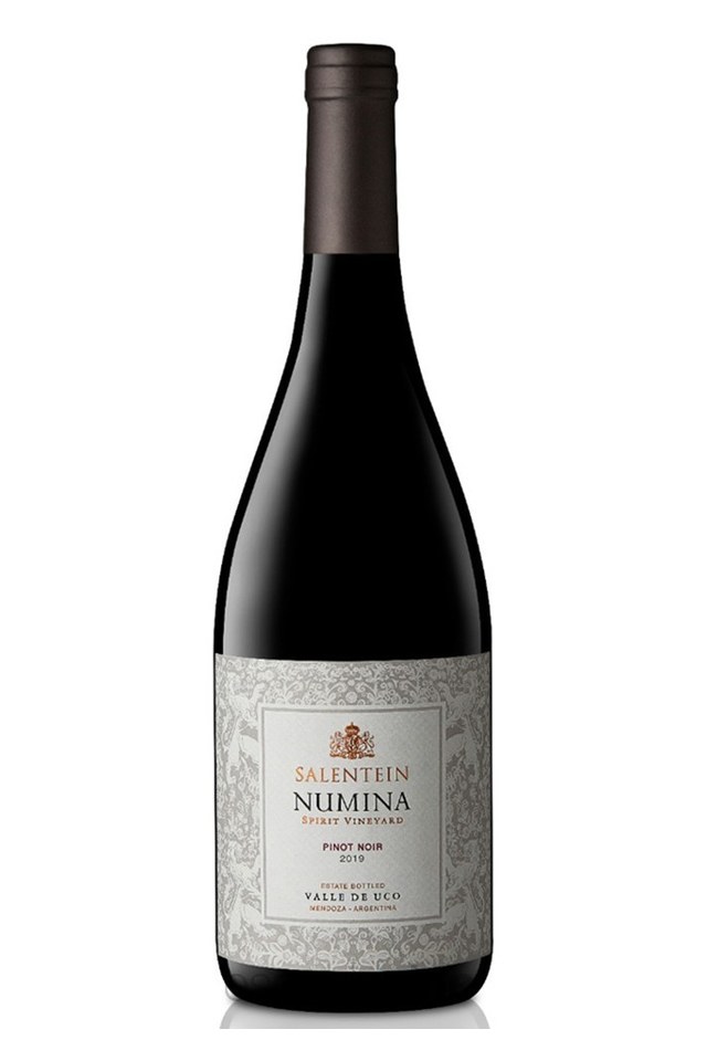 Botella de Salentein Numina Pinot — Salentein